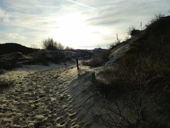 Oostnieuwkerke duinen wandeling in de koude (België)